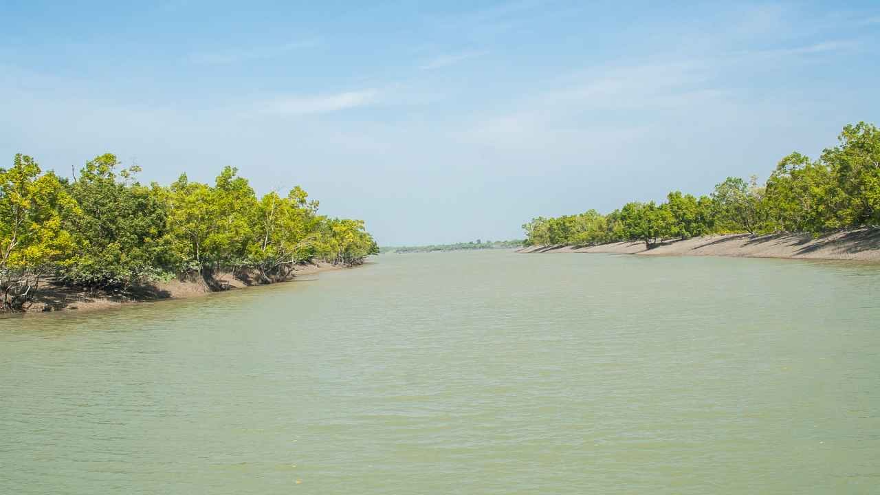 Sundarban Boat Safari