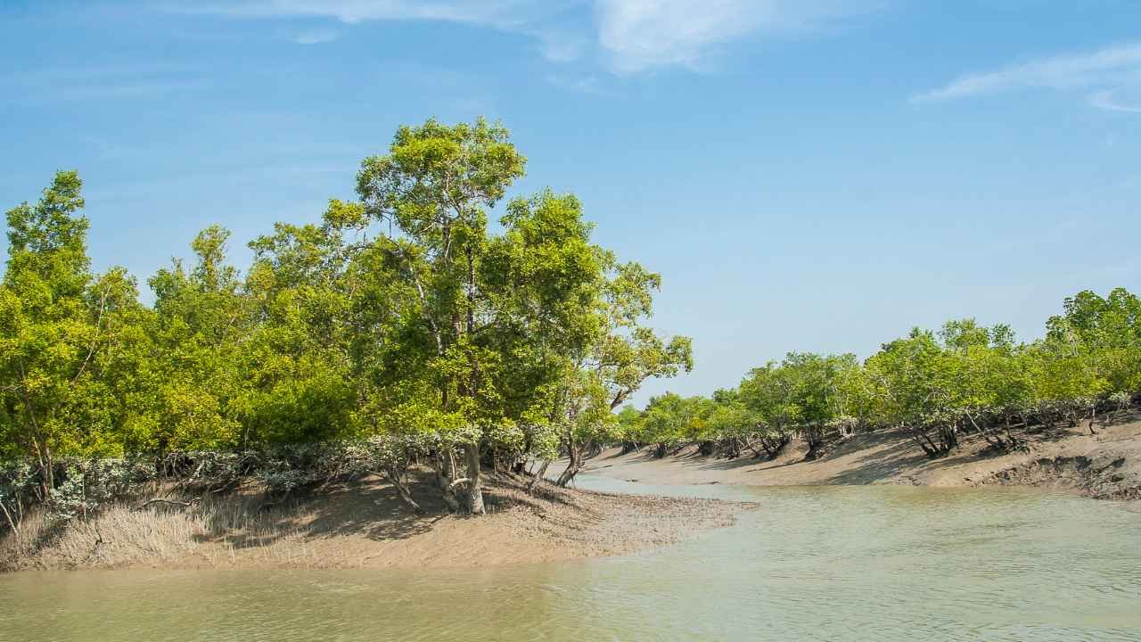 Tourists enjoying sunset on Sundarban cruise