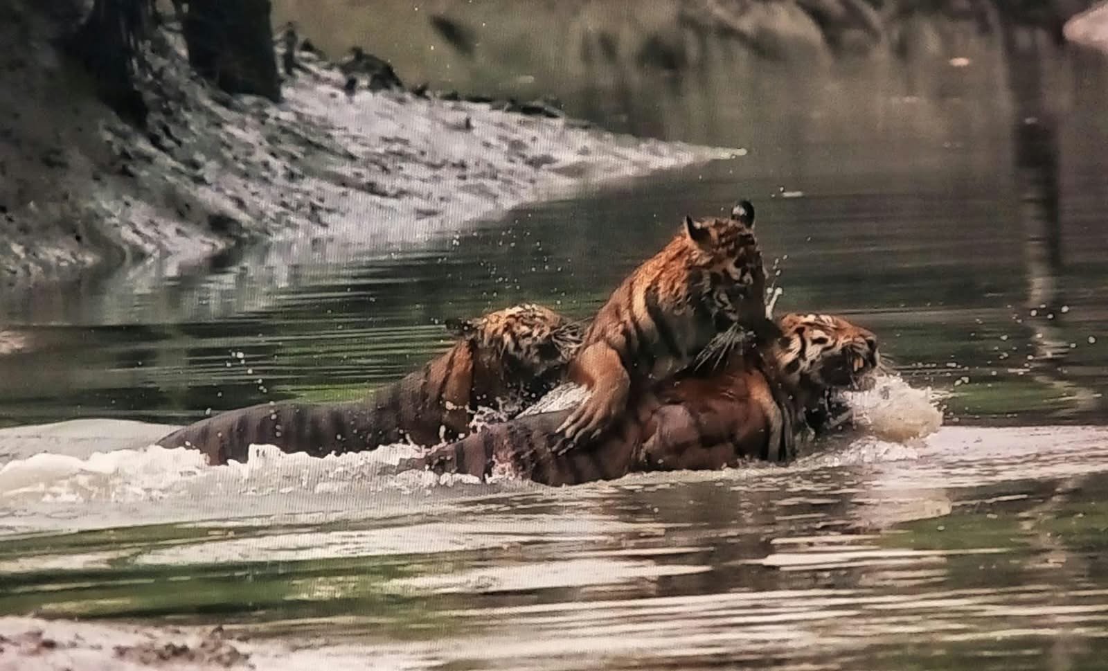 Sundarban tour boat interior & facilities
