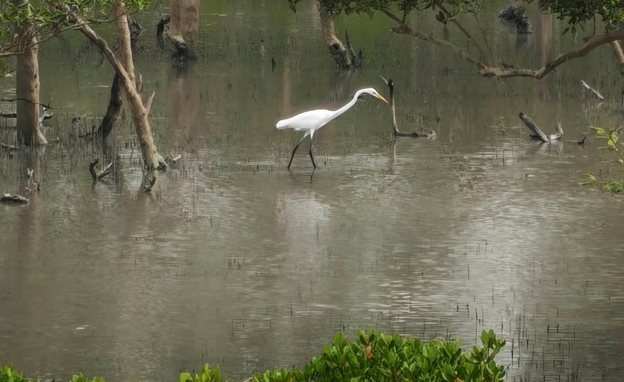 Boat travelers watching wild banks