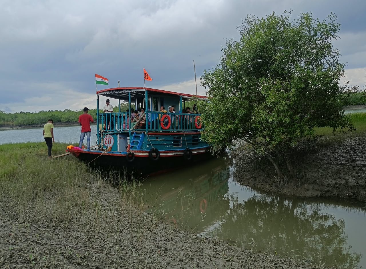 Spotted deer and bird habitat in Sundarban